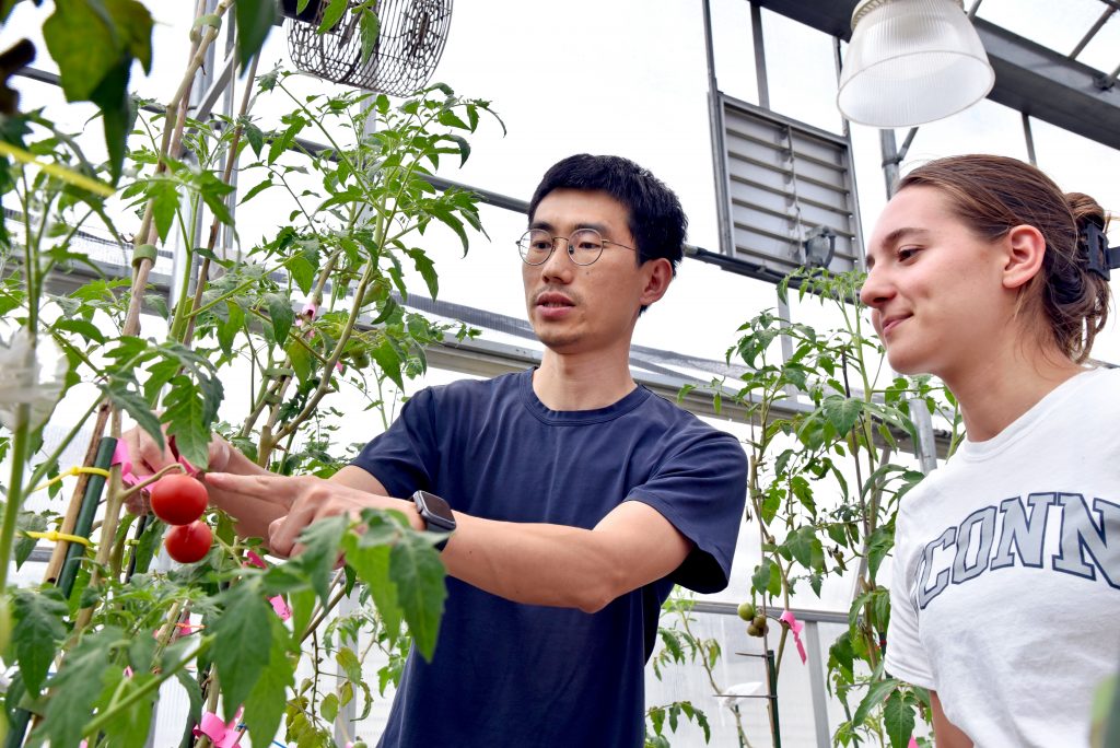 two grad students inspecting a plant