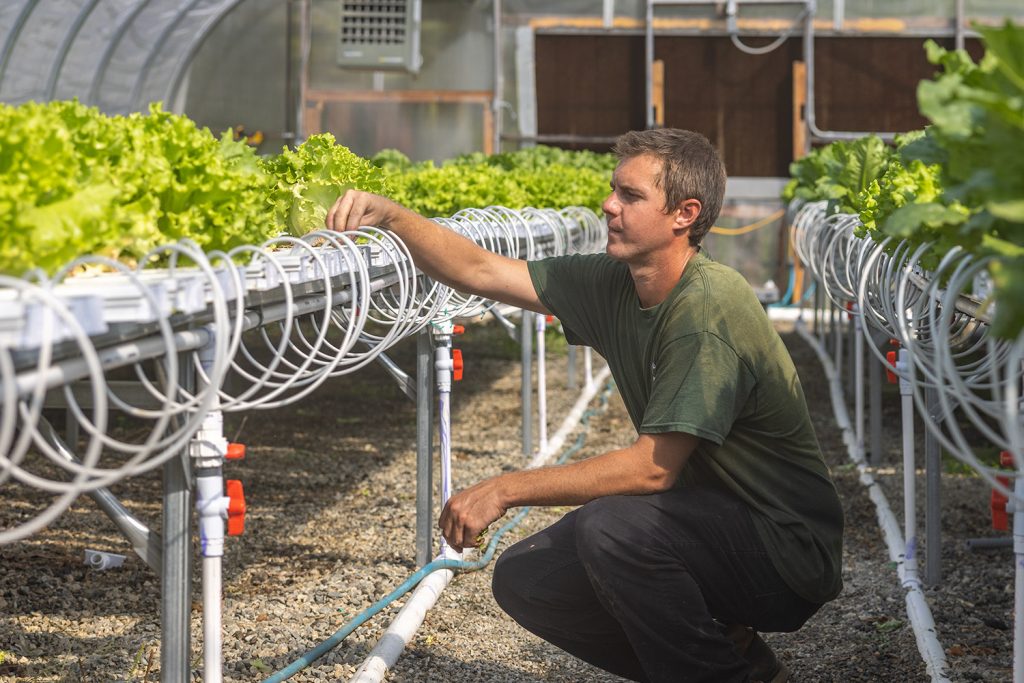 working in a greenhouse
