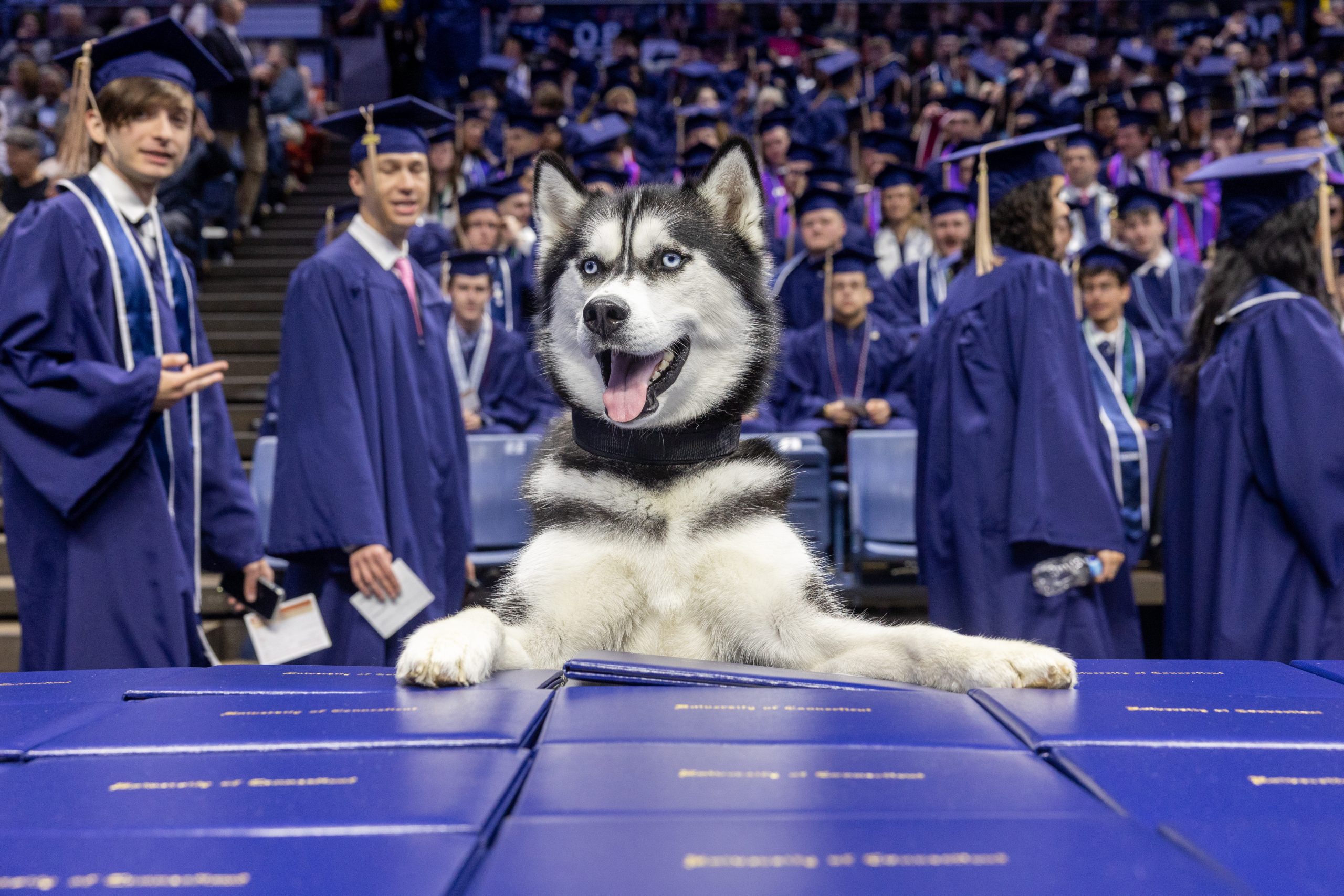 Jonathan XV at commencement