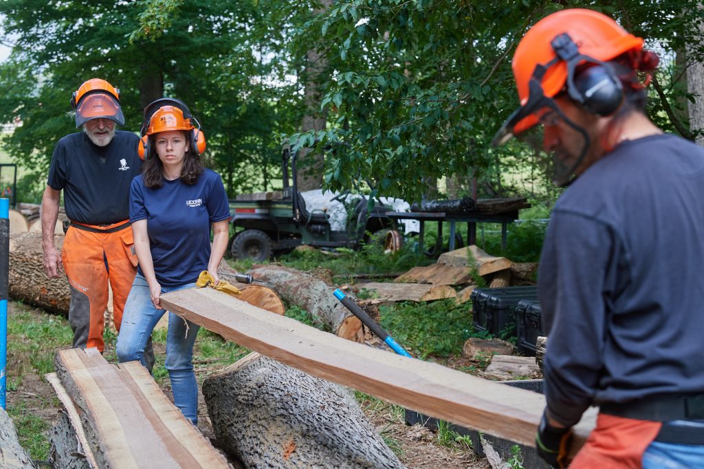 working with timber