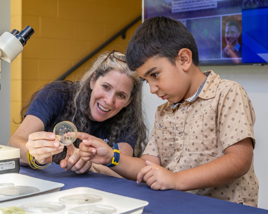 child looking at insect samples