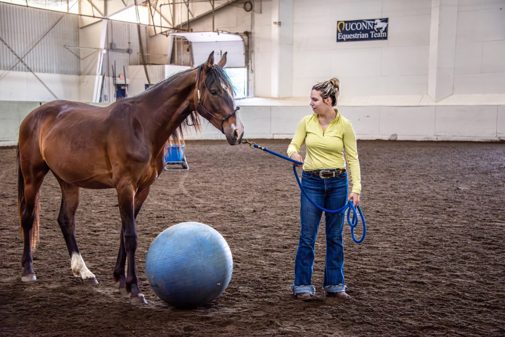 horse and traainer