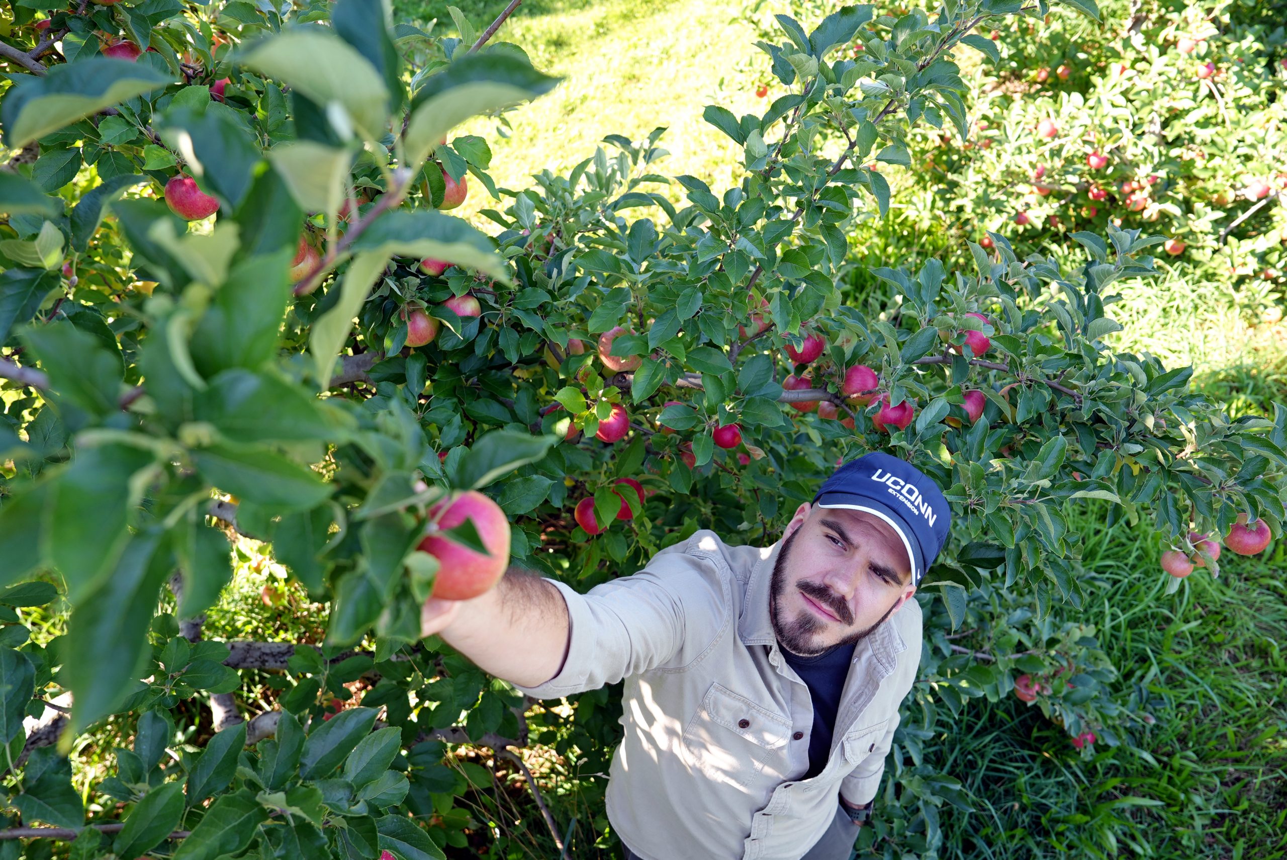 picking an apple