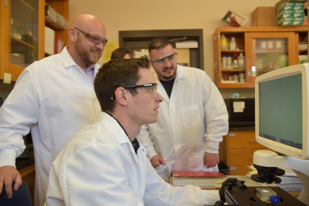 researchers working in a lab