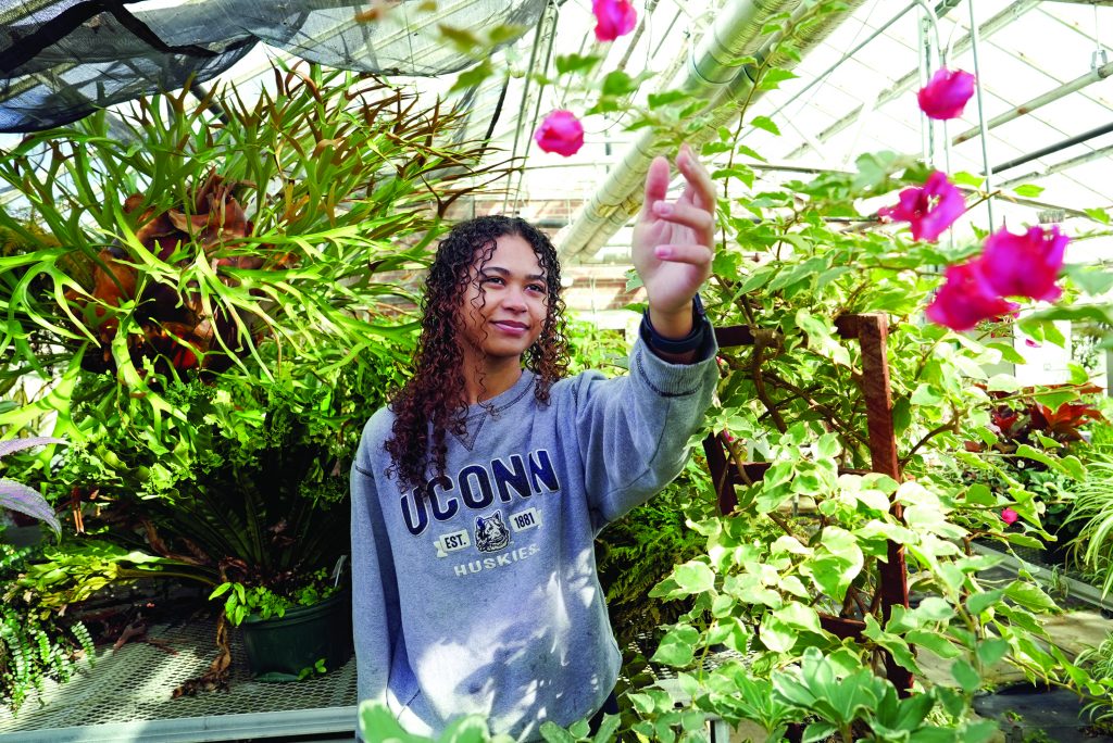 inspecting plants in a greenhouse