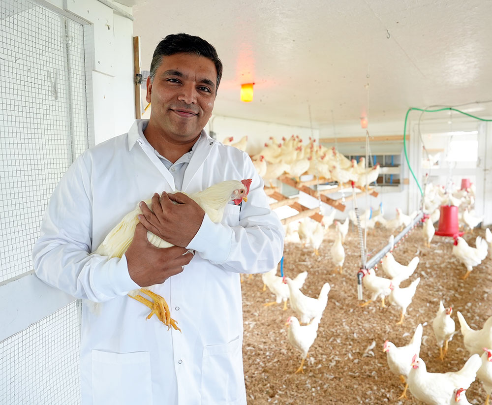 scientist posing in chicken coop