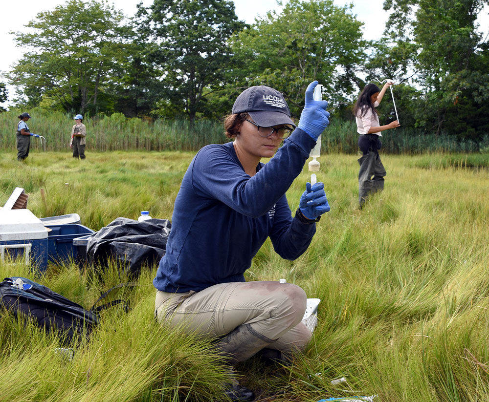 student doing lab work in a field of grass