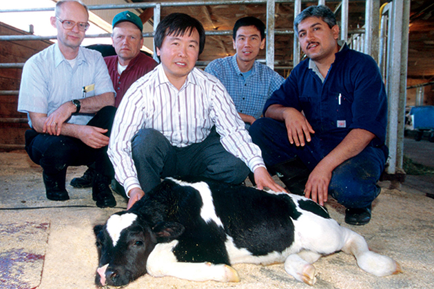 posing with cloned cow