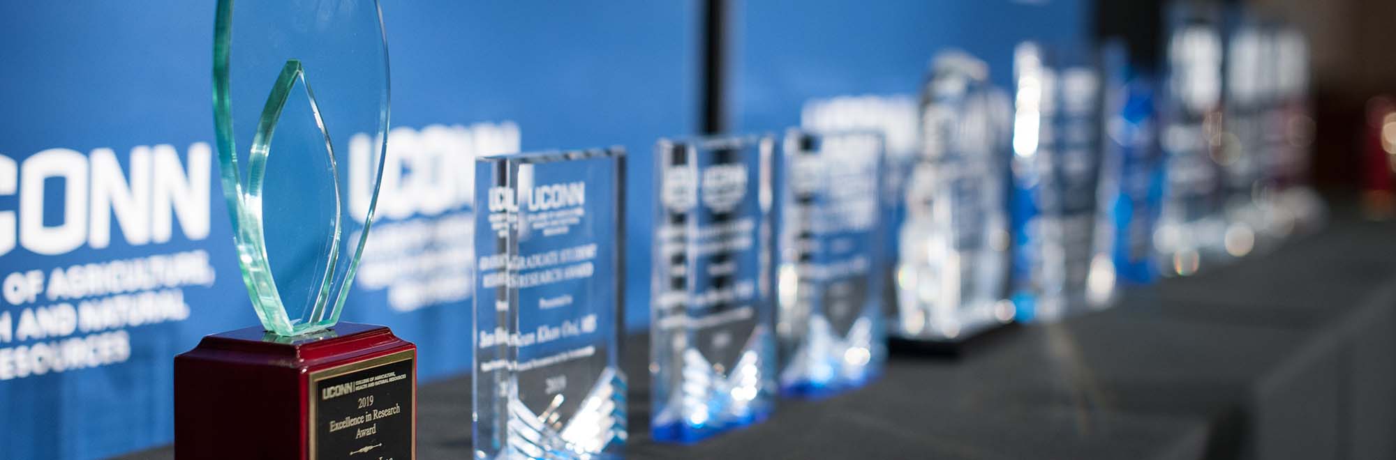 awards on a table