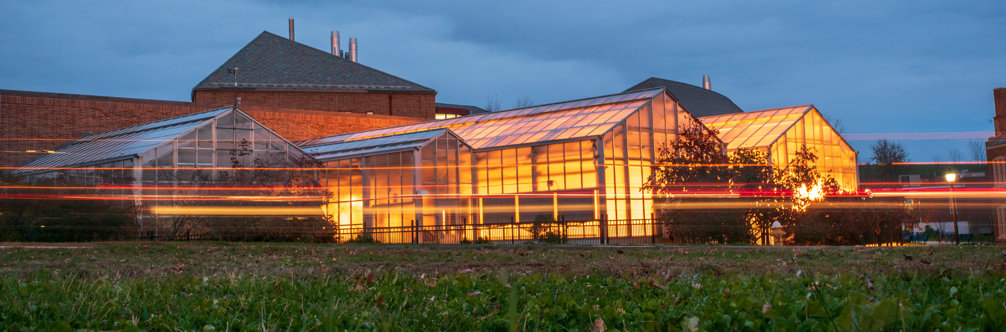 greenhouses at night