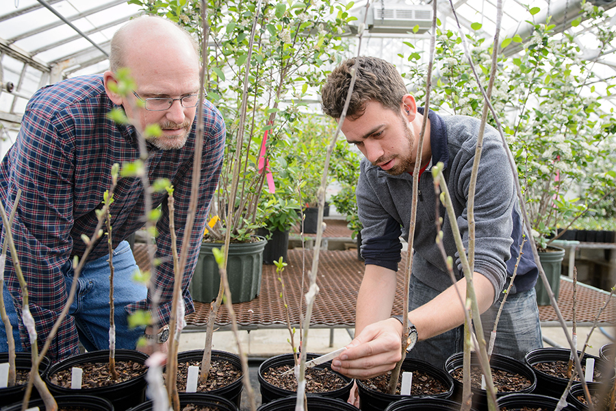 working in a greenhouse