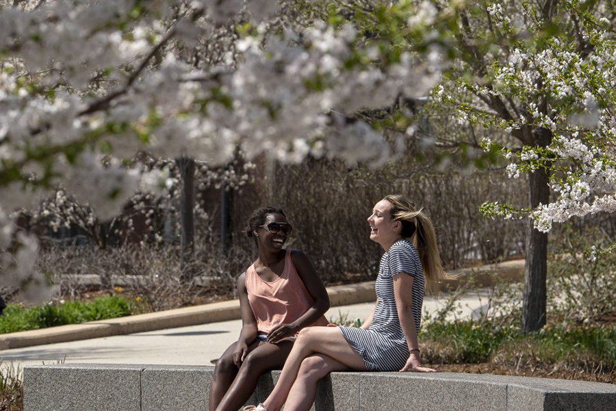 students sitting outside